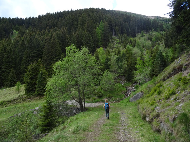 Catena dei Lagorai...da Pergine al Passo del Manghen